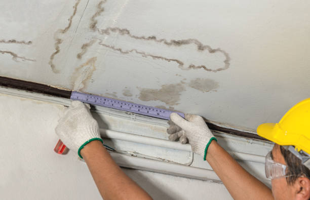 Reliable Water Damage contractor in Armada, MI by Water Damage Irwin